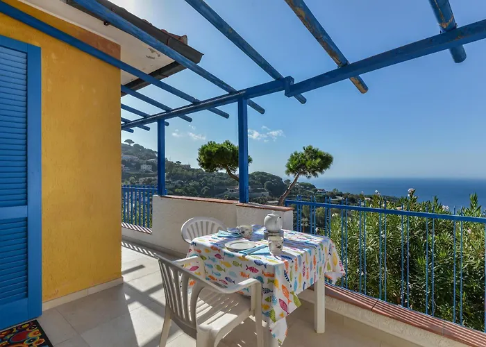 Bel Horizonte 7 קאפוליברי